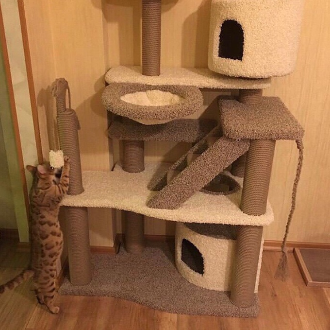 Игровой комплекс для кошек домик лежанка